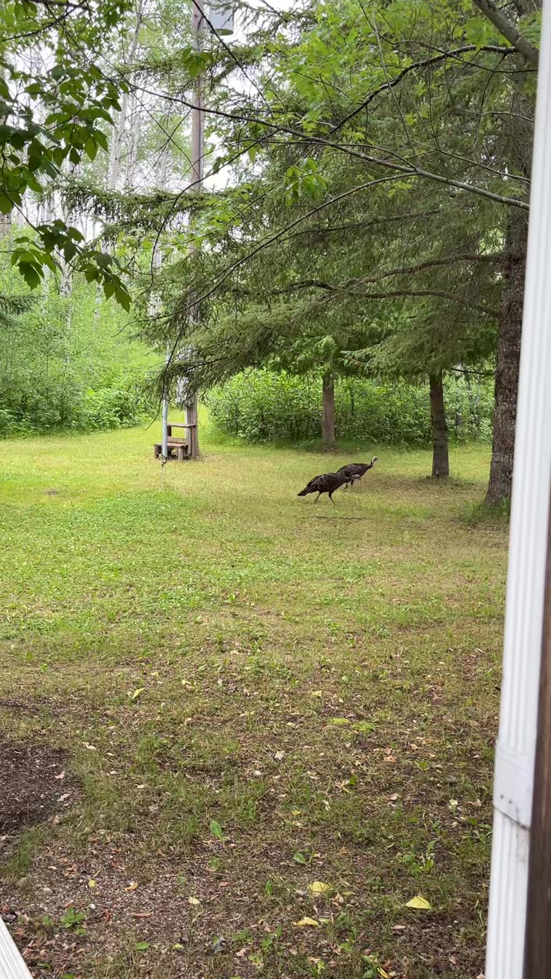 @The Fisher Farm 🇨🇦