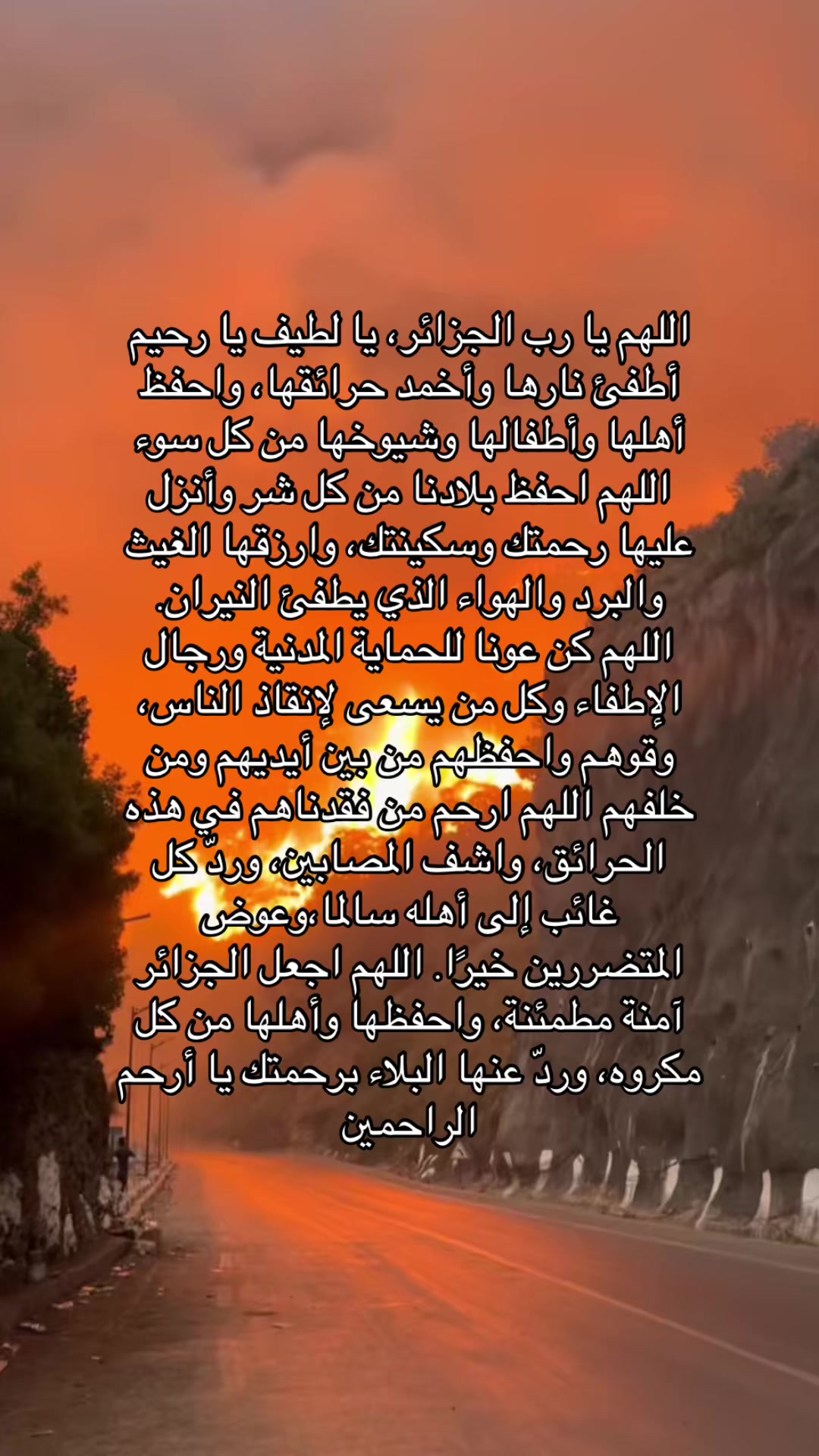 @🕊️
