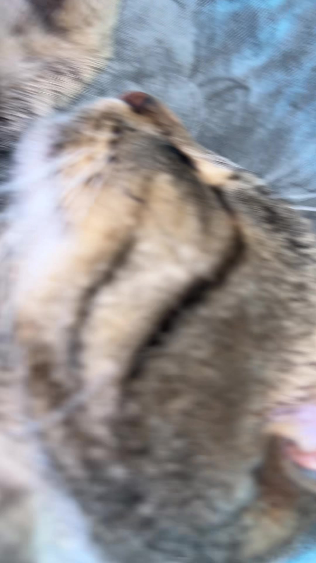 @kuzea_π