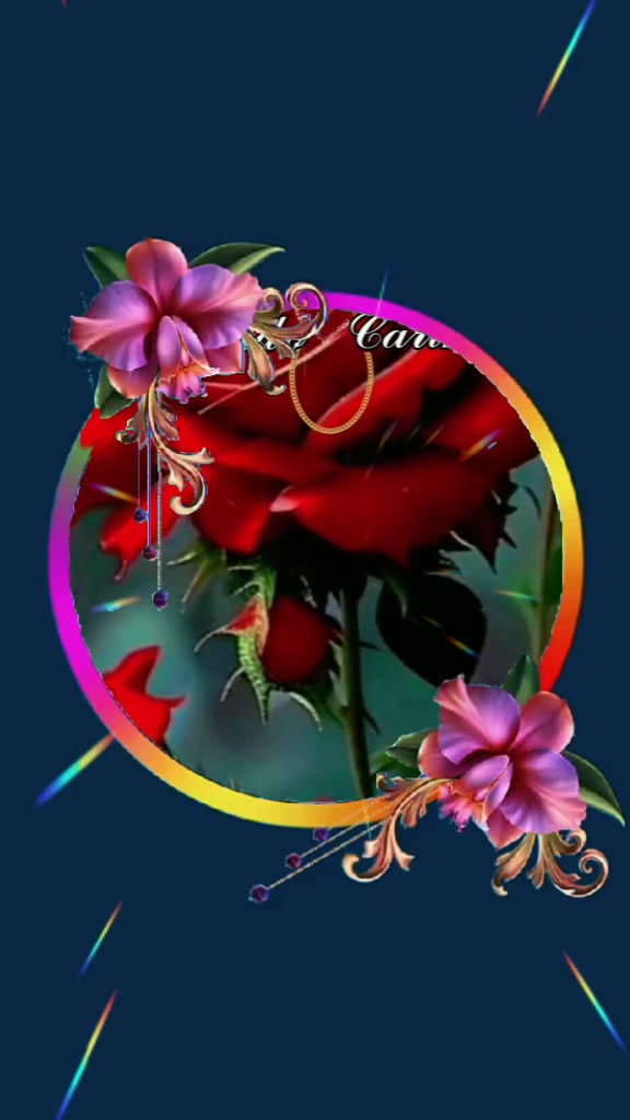 @Trazendo Carinho.🌹