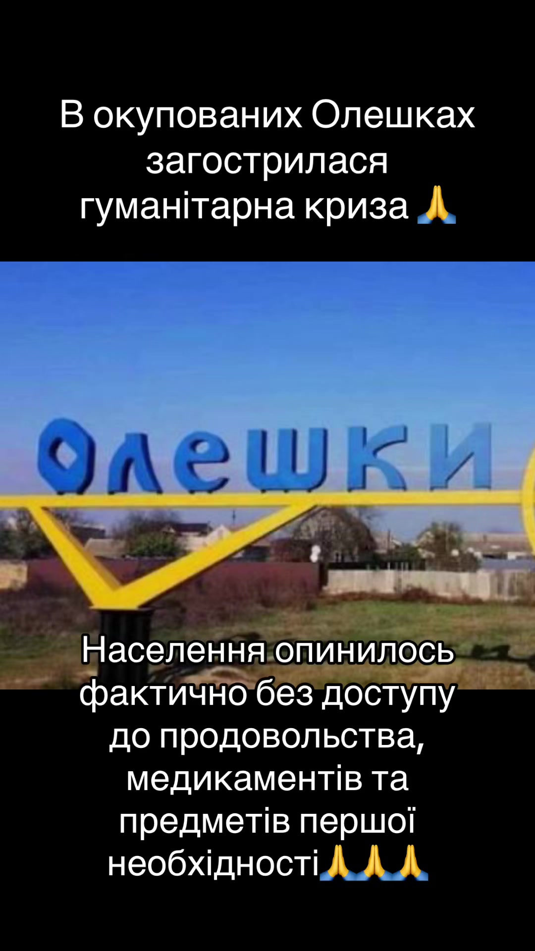 @evilSvitlana