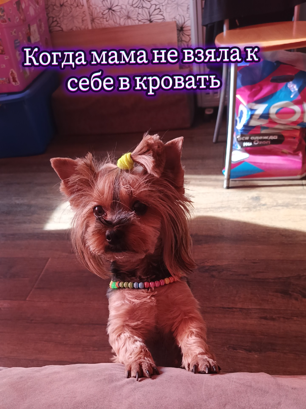 @Соня и Бетти ❤️