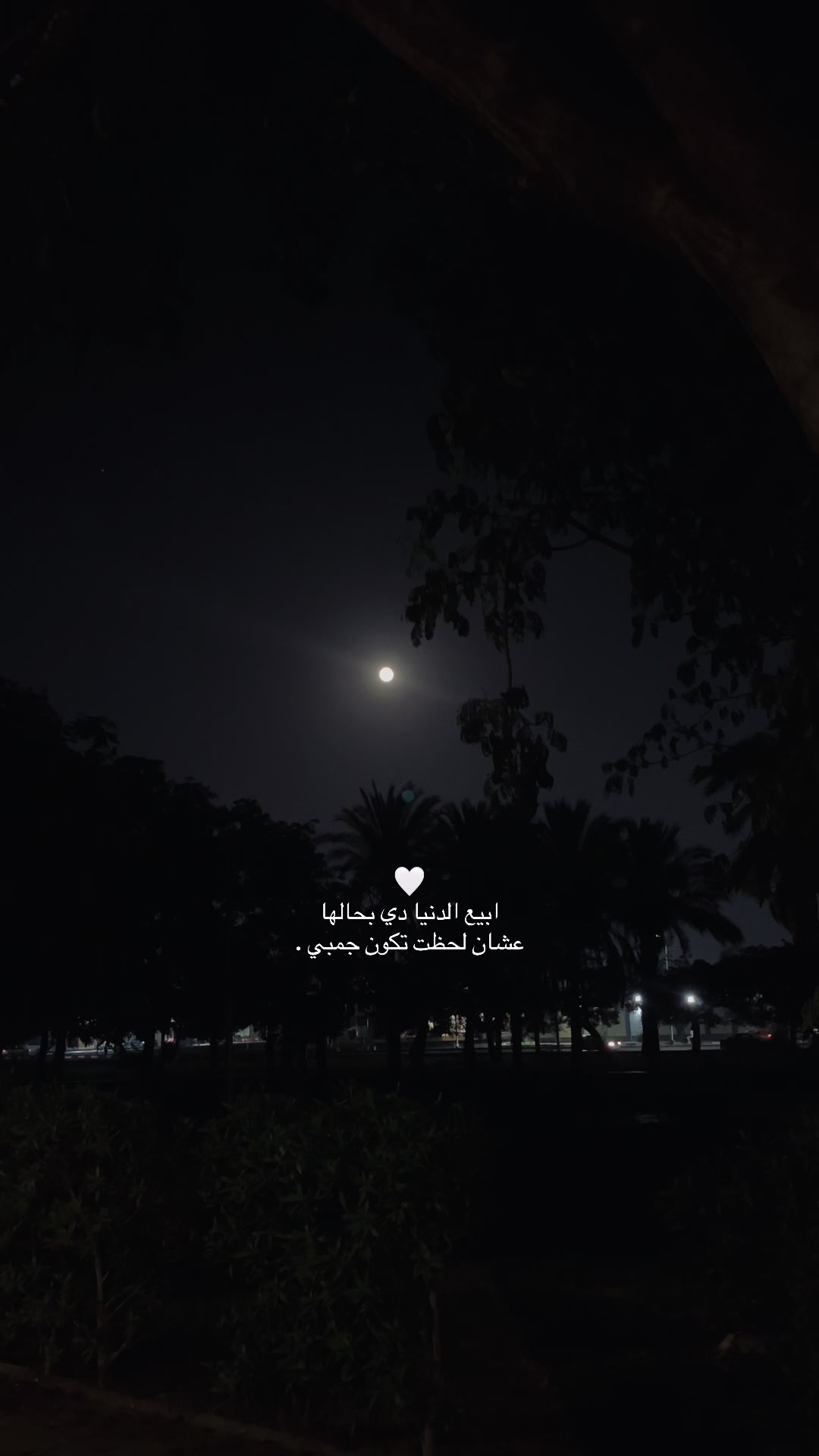 @Hoda❤️🔥