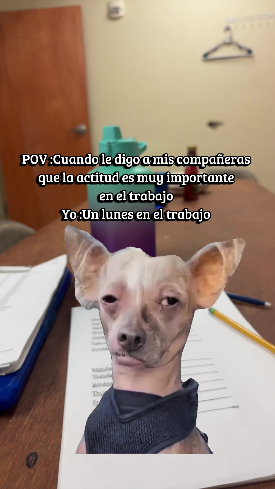 @Yanett Rivera