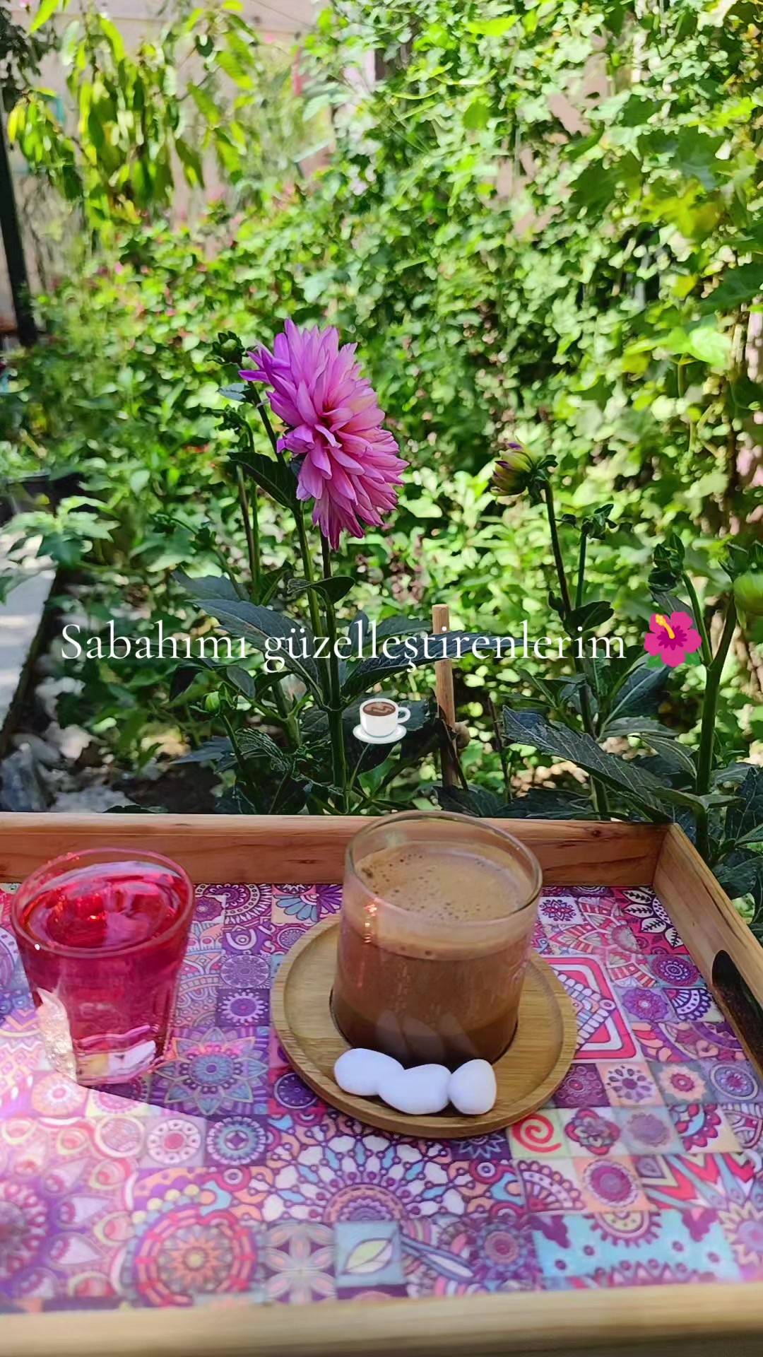@Zehra zehra