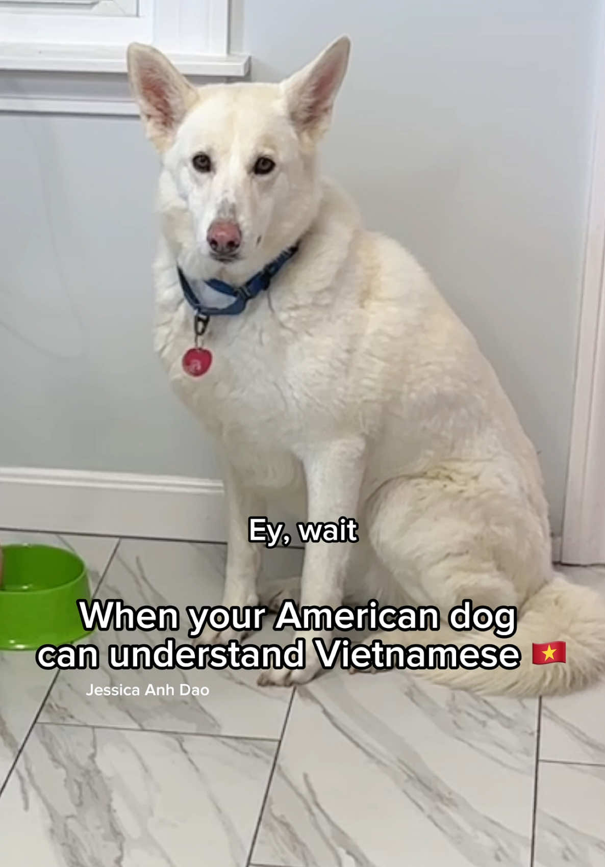 @Jessica Anh Đào 🇻🇳🇺🇸