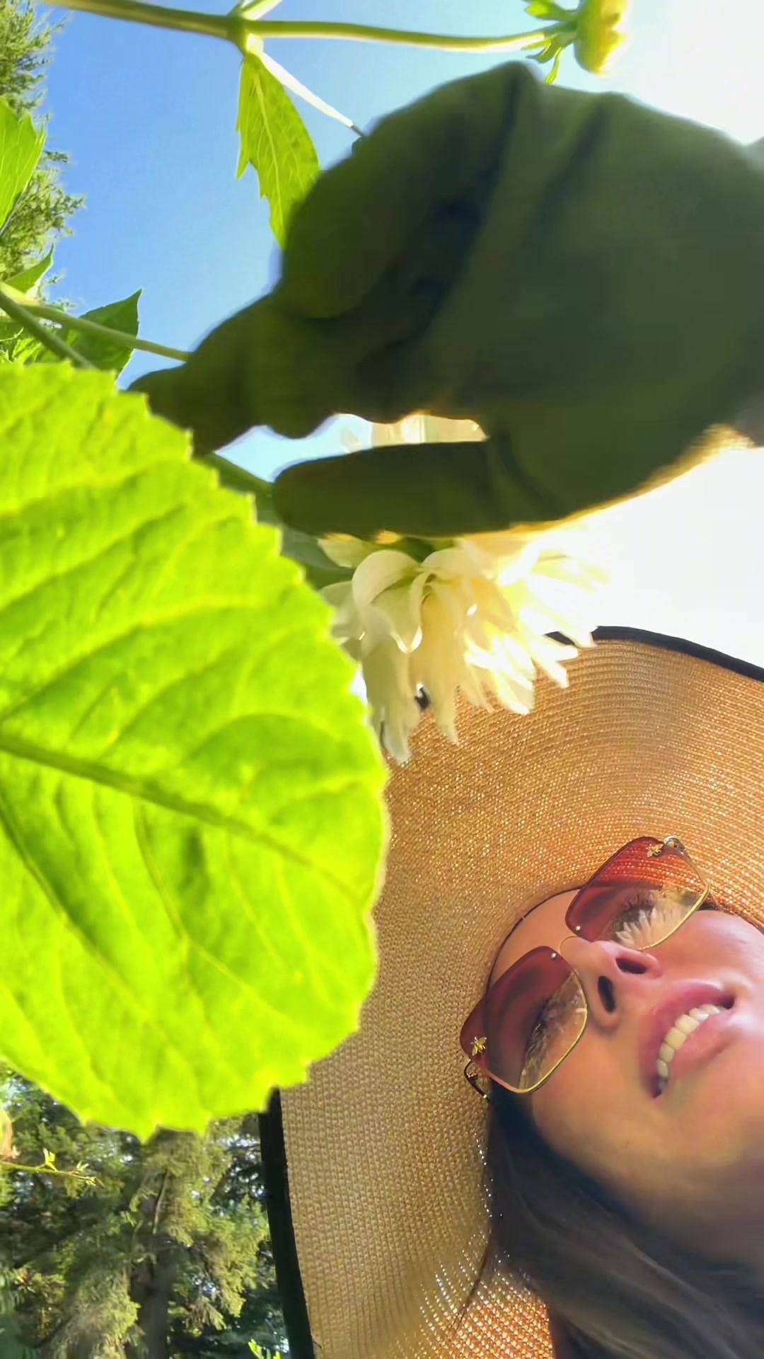 @Ava Dahlia 🇨🇦👩&zwj;🌾✌️