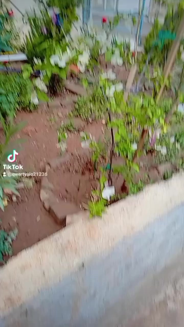 @♥️الملكه 🇾🇪 منى 🇲🇦♥️