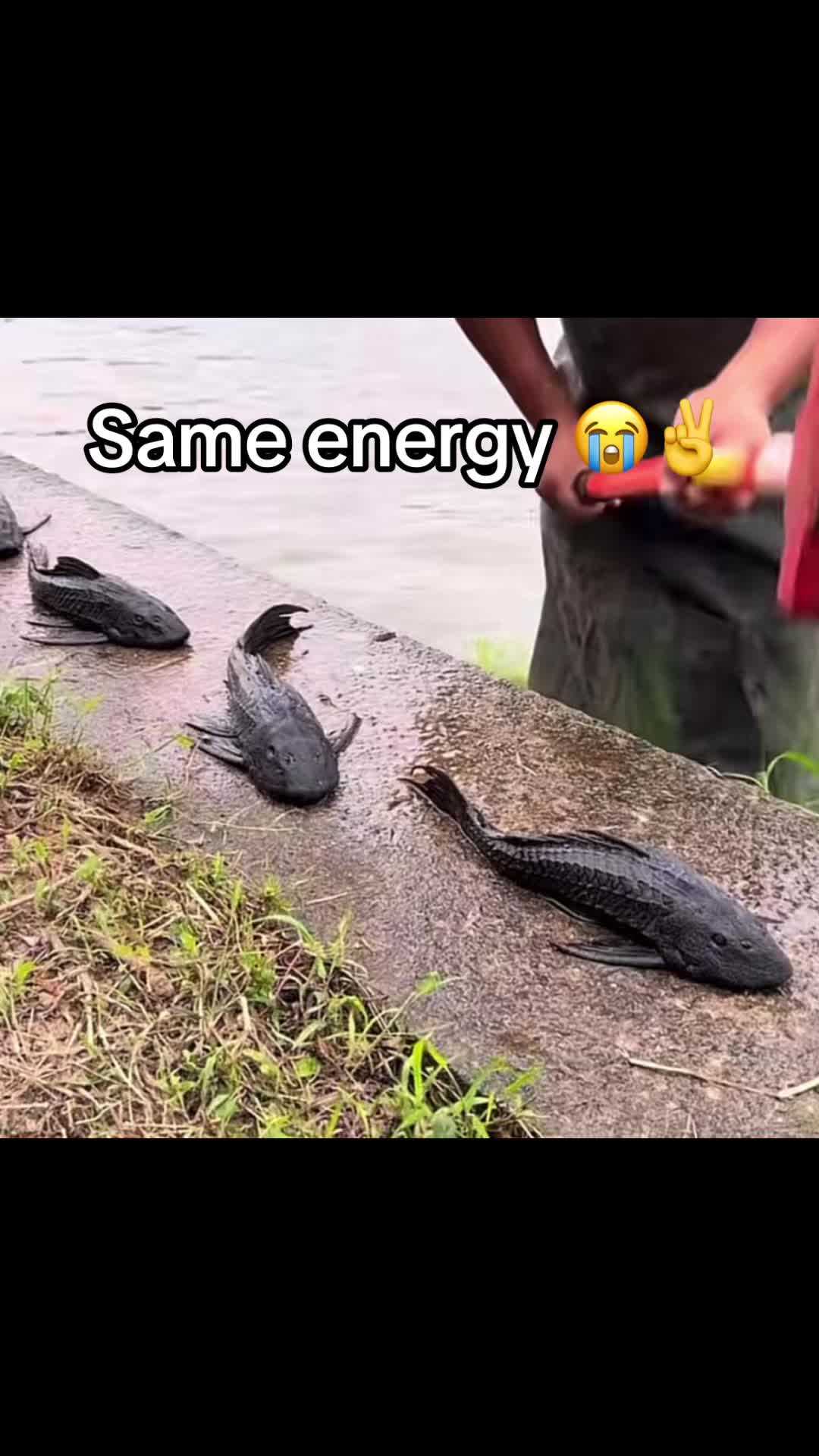 @LEE