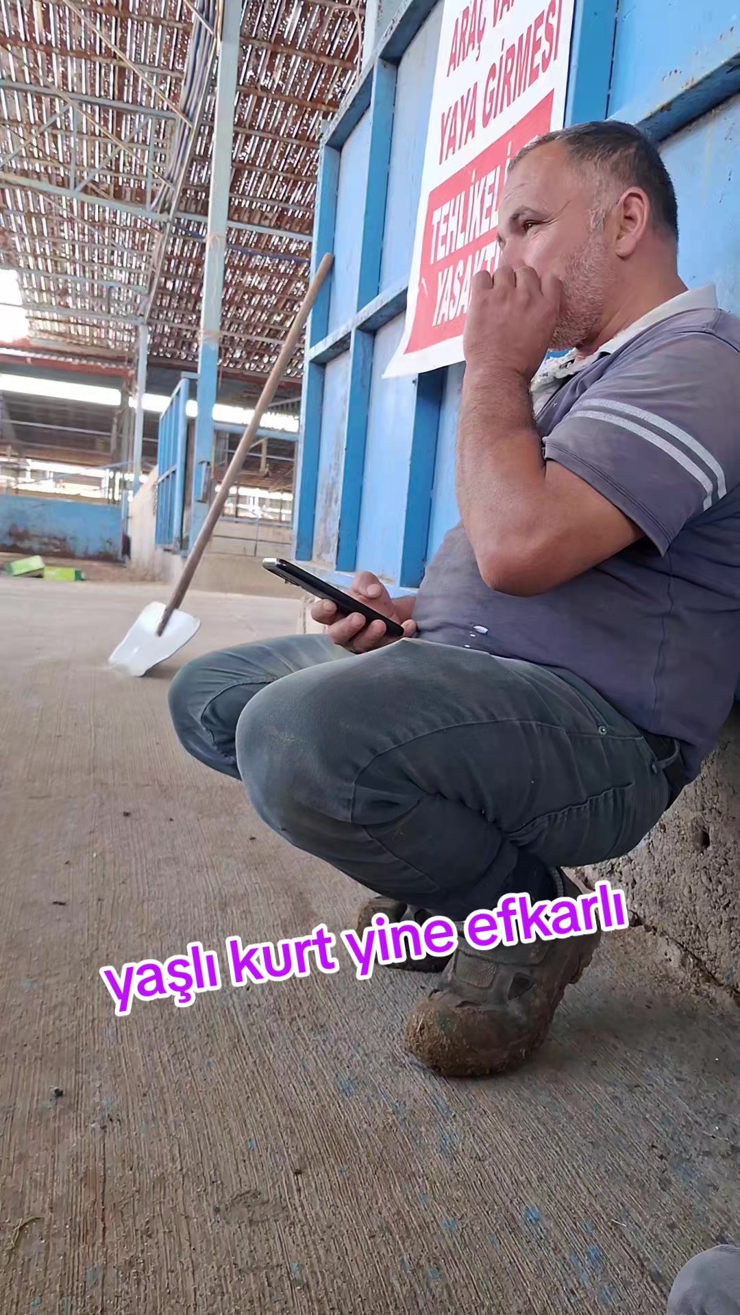 @fenomen besici