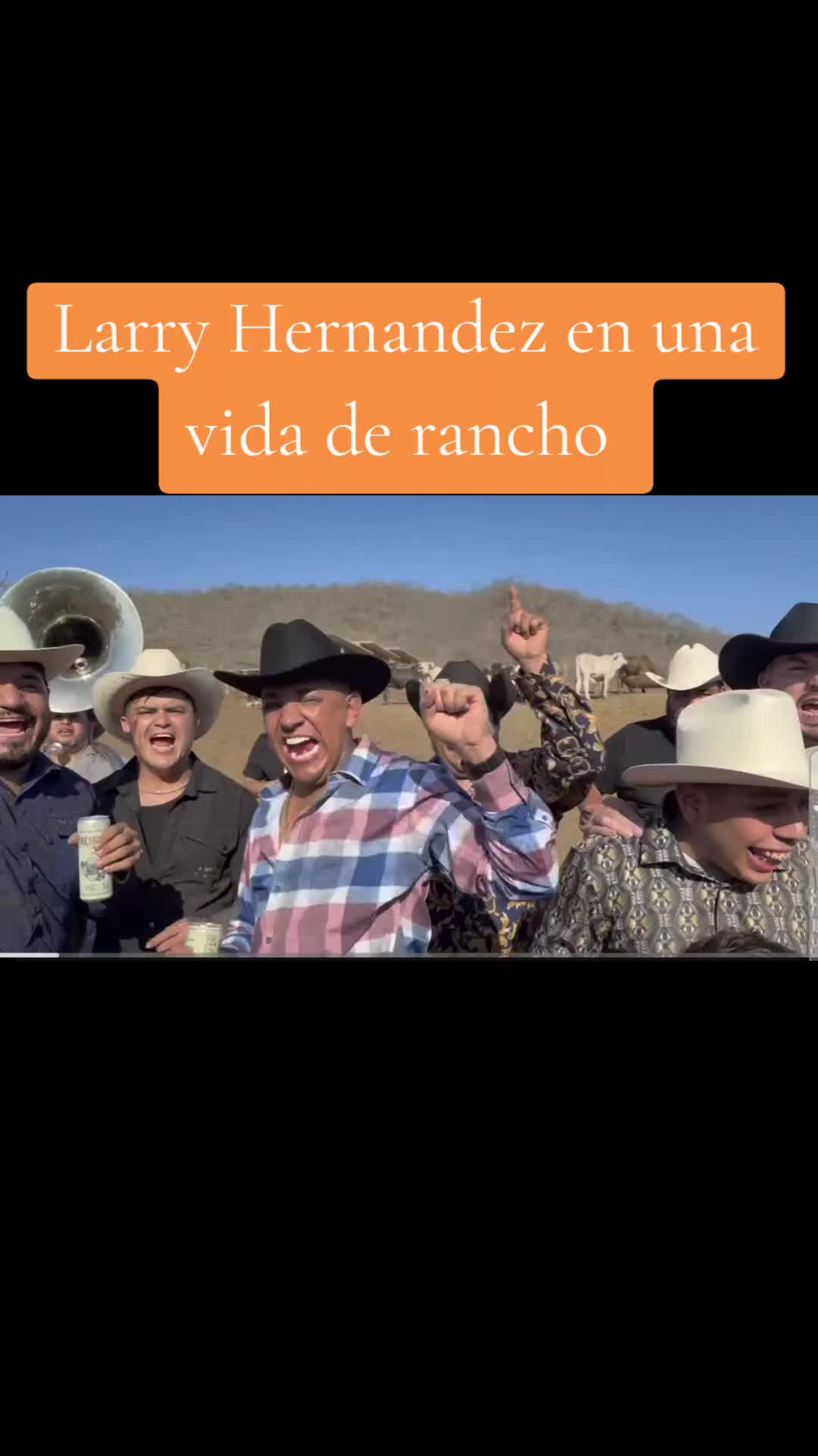 @Chismecito Suculento VIP