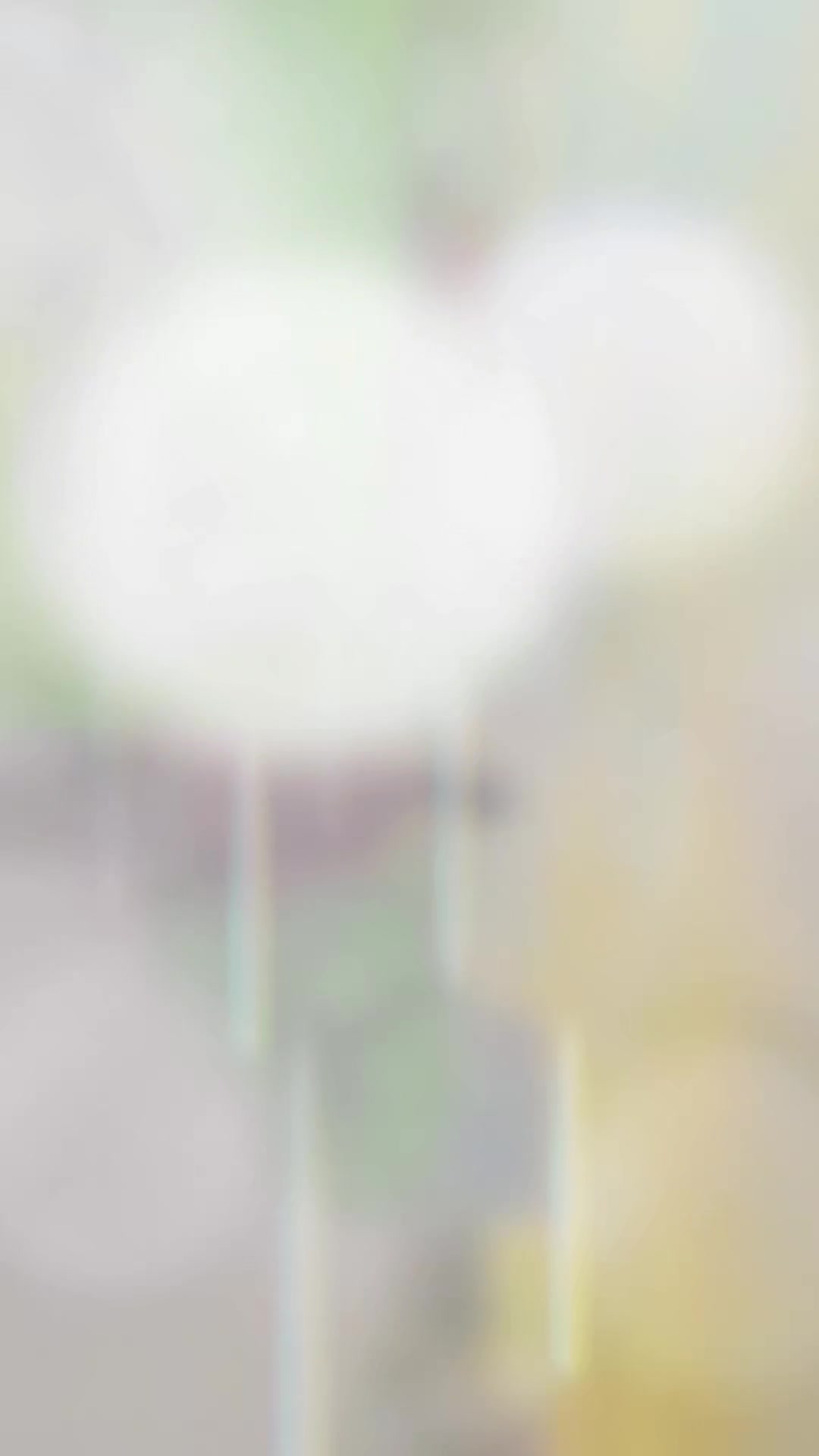 @Archu🧿🕊️