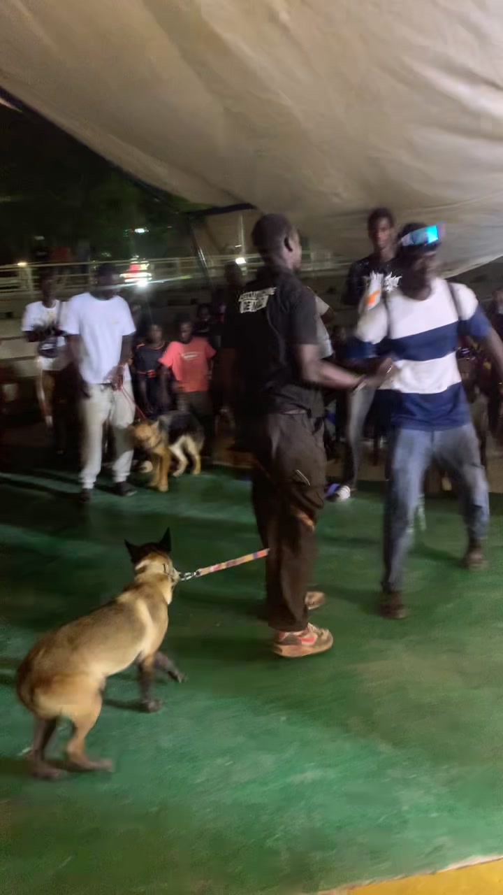 @G.I.C.N 🇸🇳🐾Ma&icirc;tre Weuz🐕&zwj;🦺