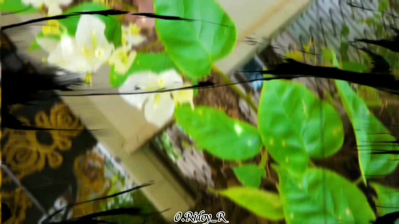 @Rɪᴅᴏʏ_Dʀᴀᴍᴀ_2.0