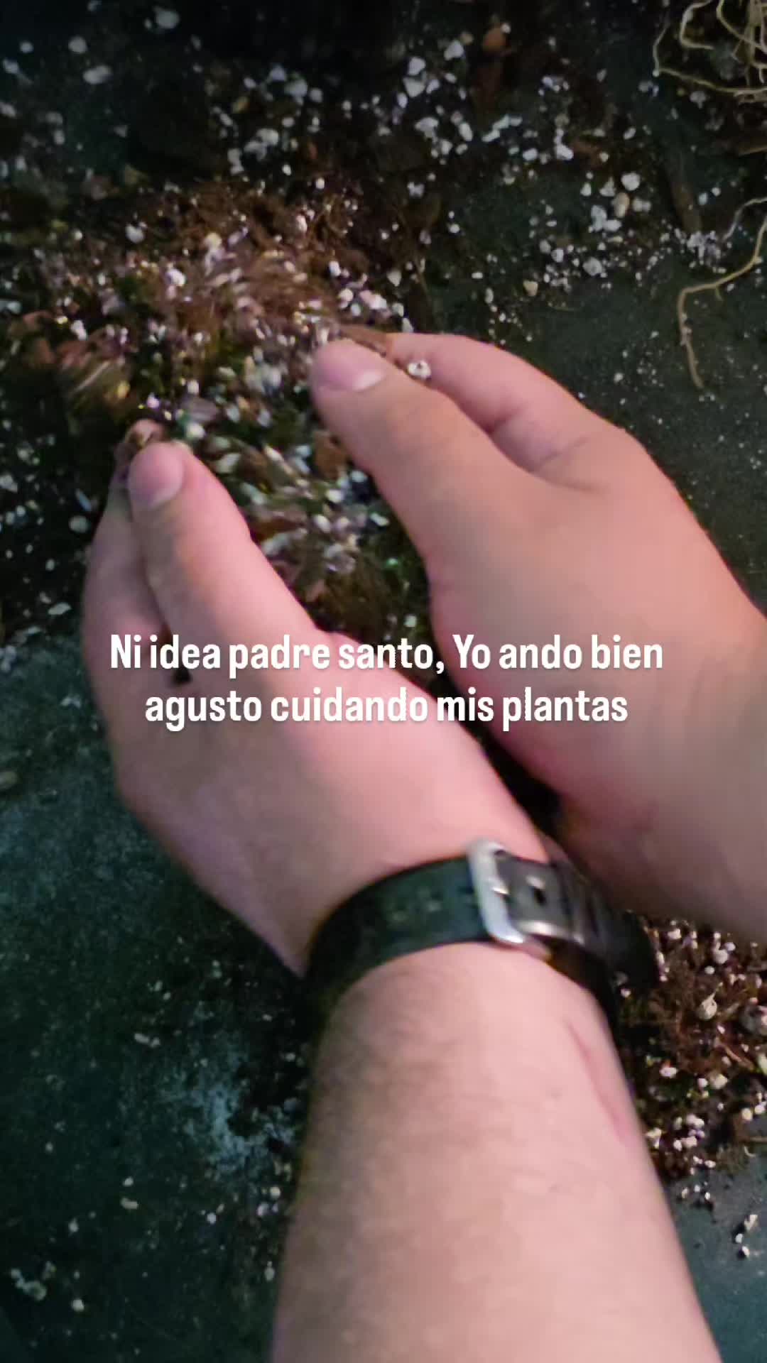 @🌱Plantonio🌱