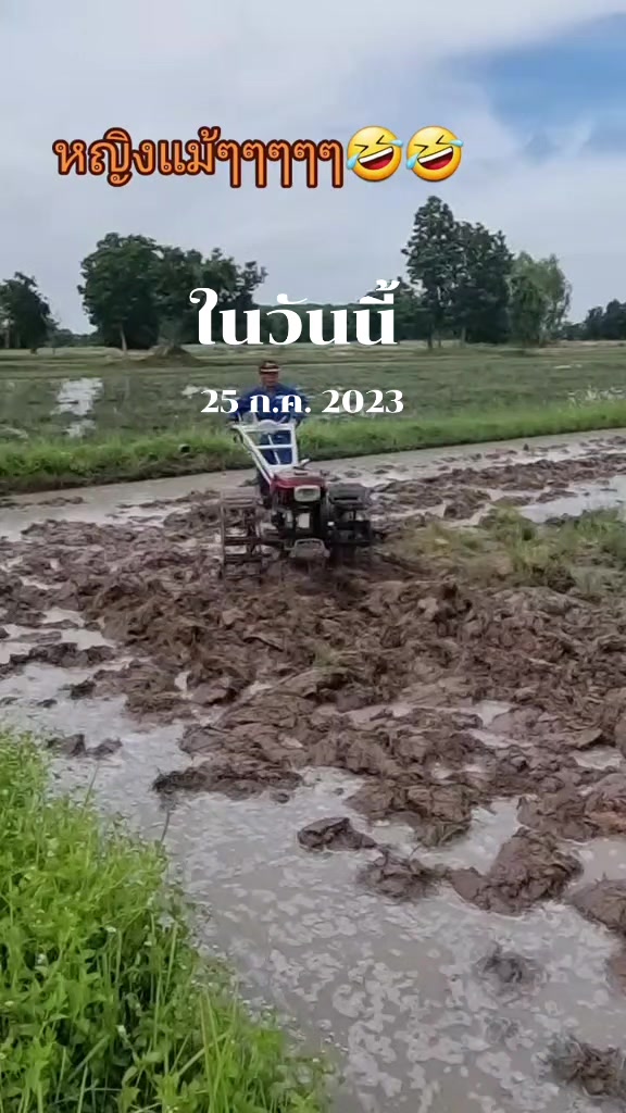 @UtainH