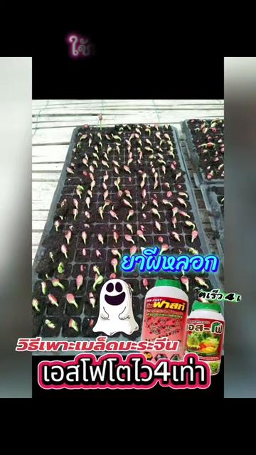 @ร้านซันเกษตร