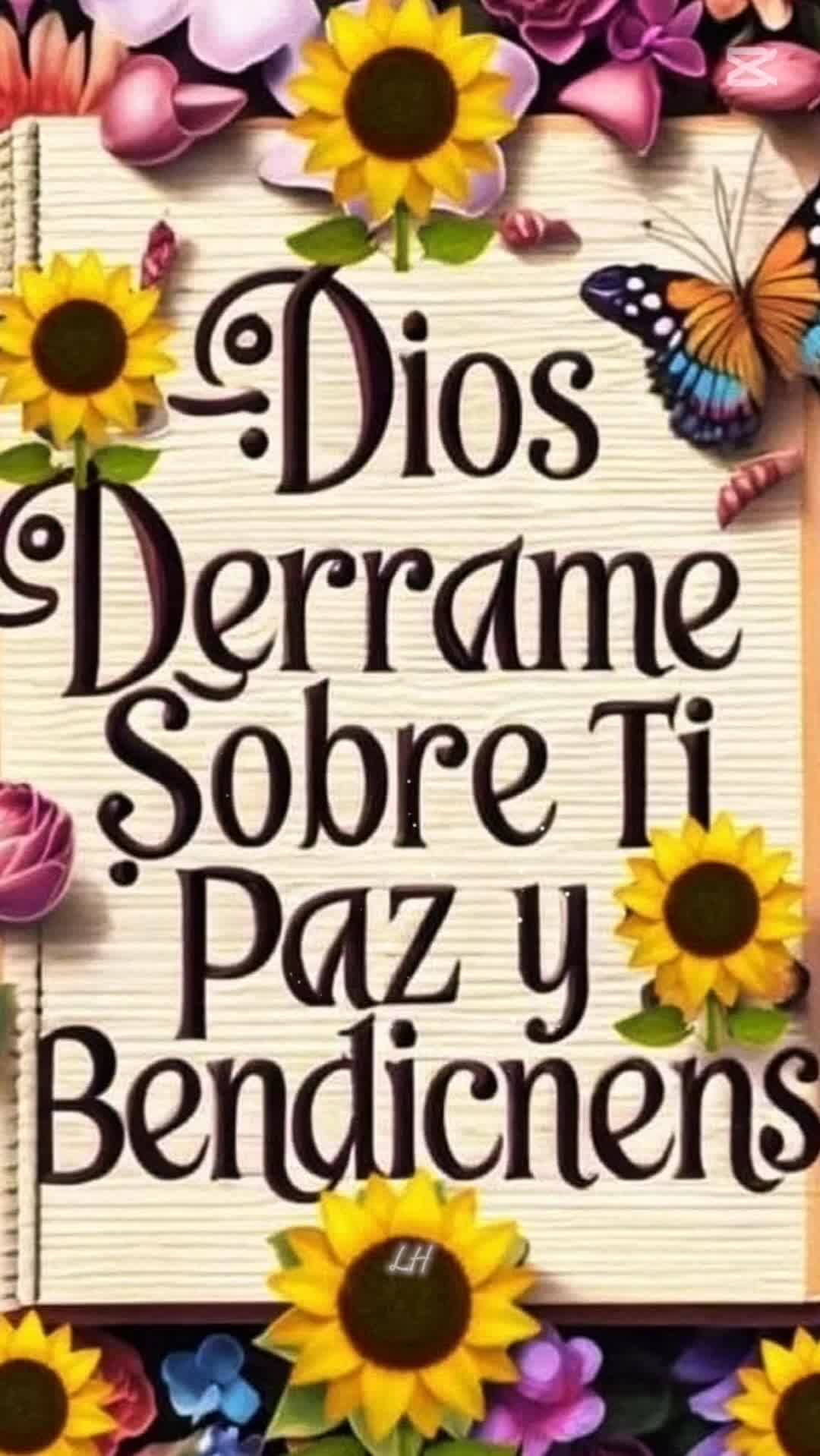 @Cinthia