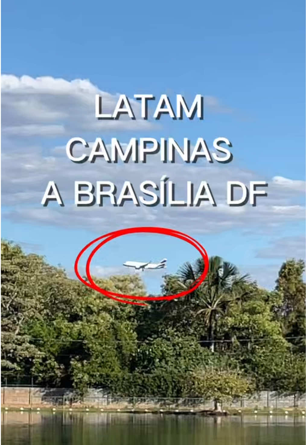 @JDM A NATUREZA EM AÇÃO