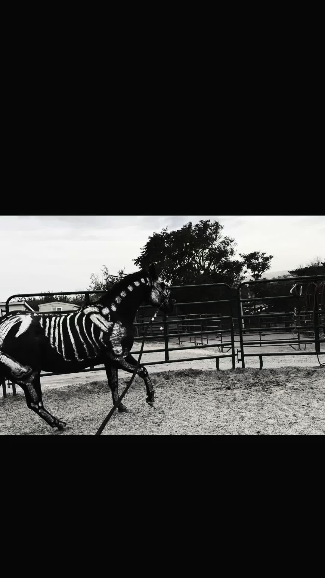 @Cowgirl Tuff Colt Training ❤️