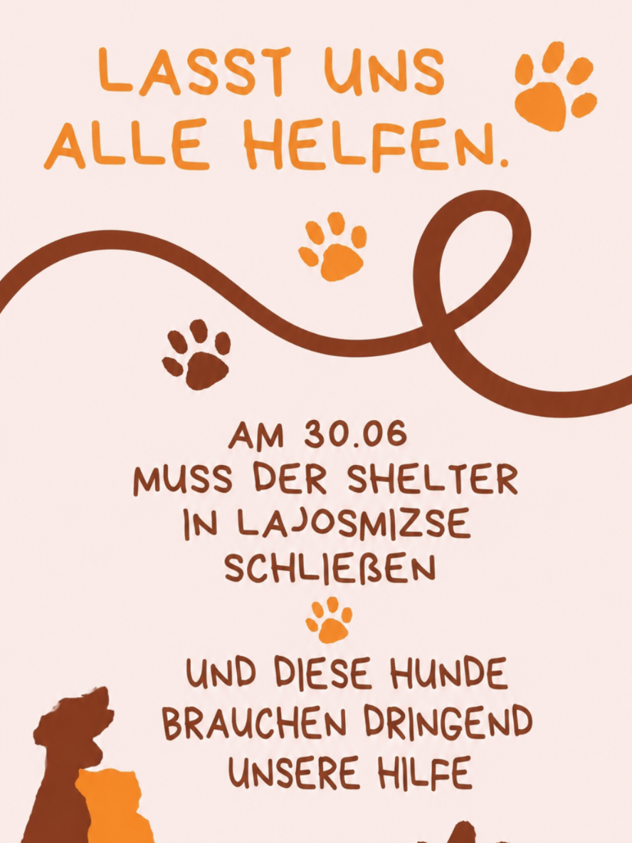 @Hundehilfe Bakony e.V.