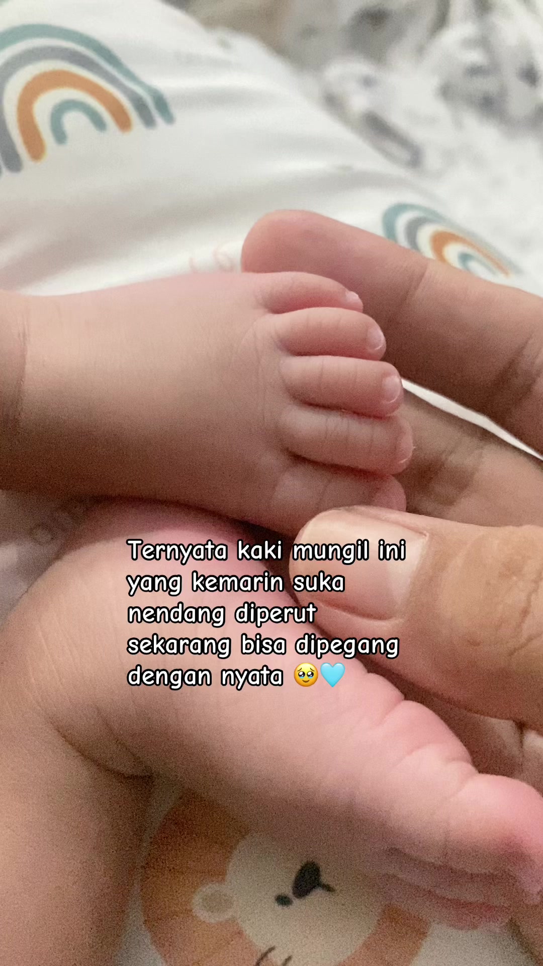 @Rinapw🐬