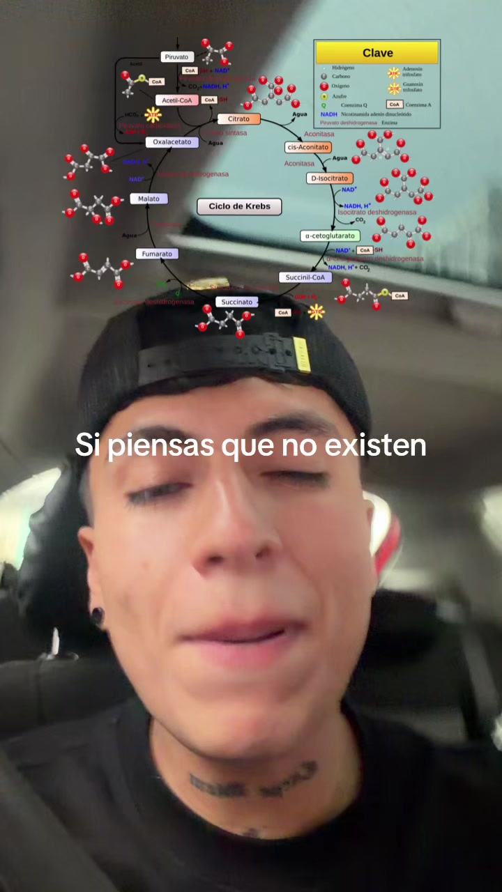 @ENDOBOY