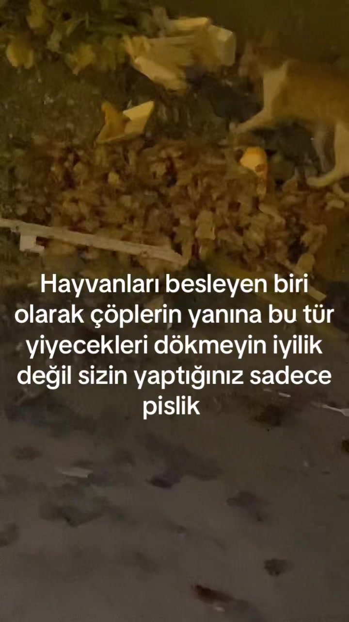 @yudummz_
