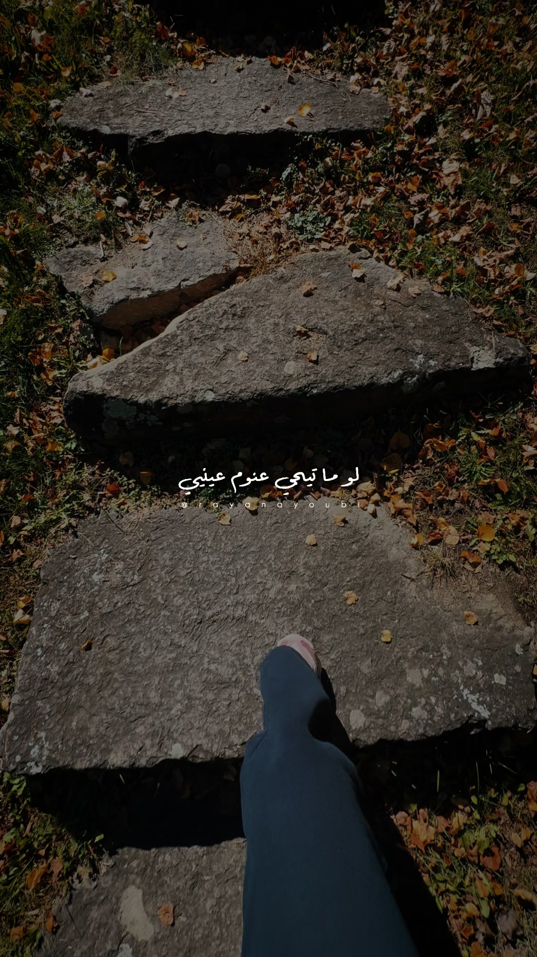 @Rayan El Ayoubi