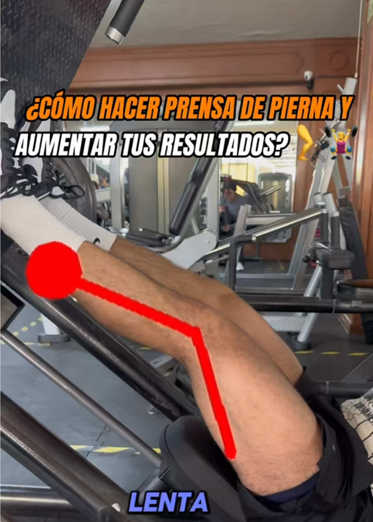@club del bosque gym