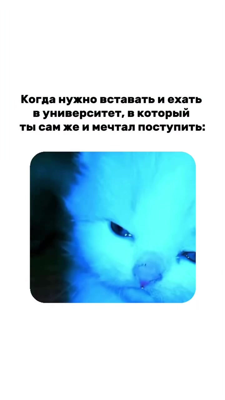 @WE project