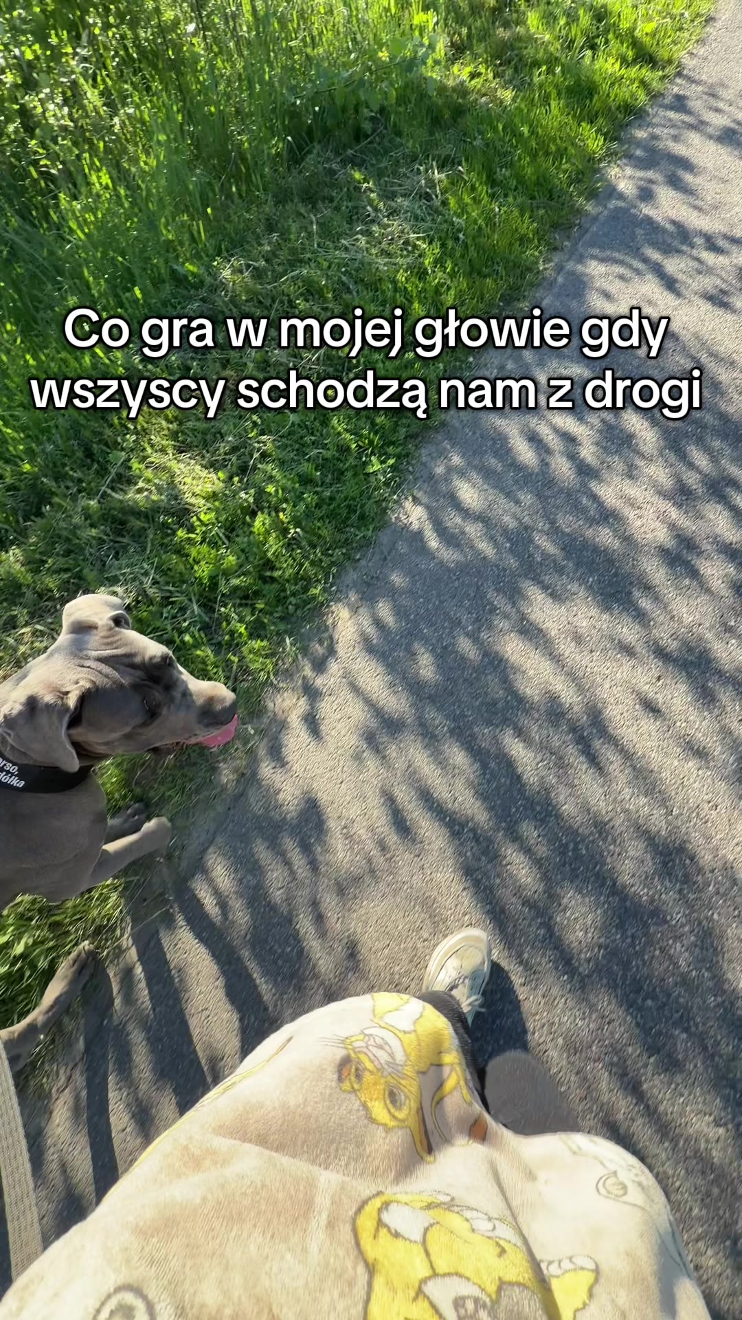 @Akira_corso