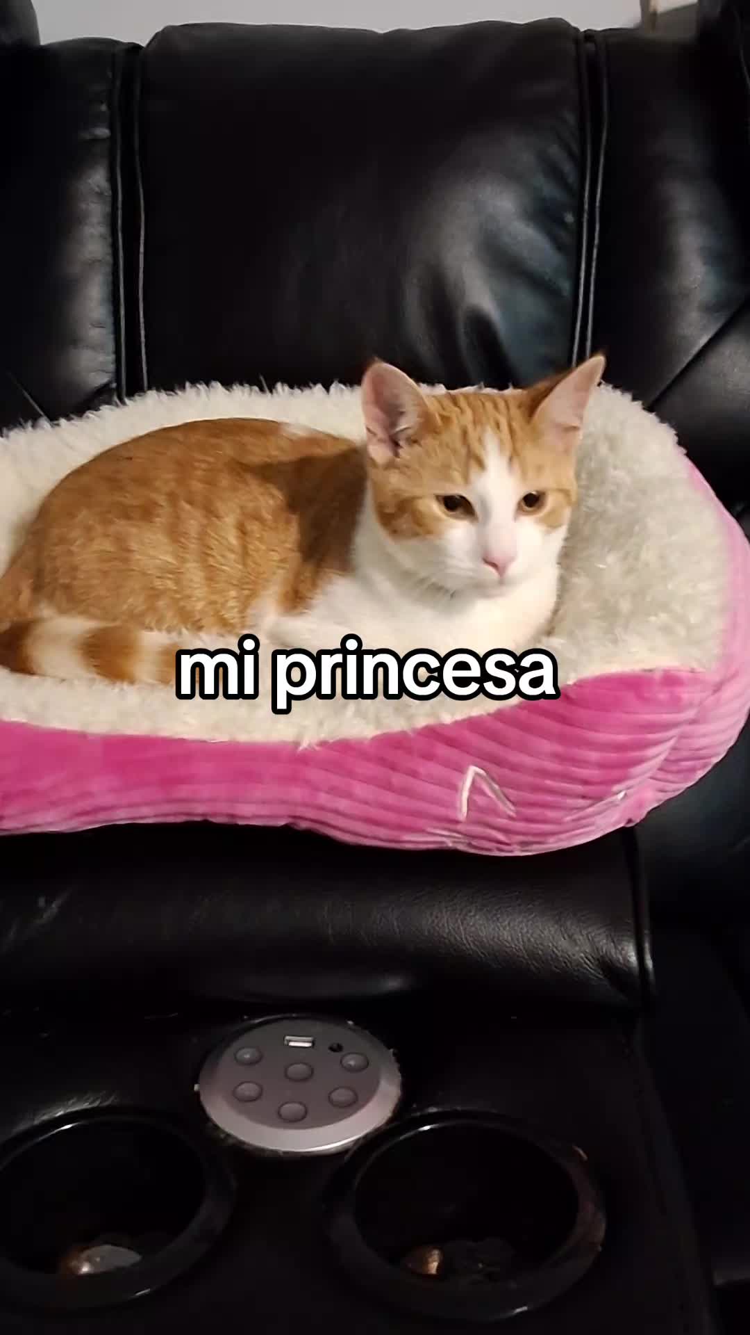 @Mamagatera20