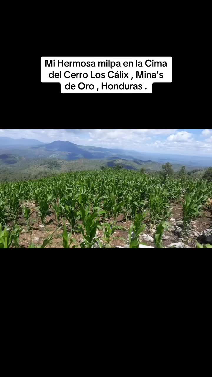 @user7944265819094