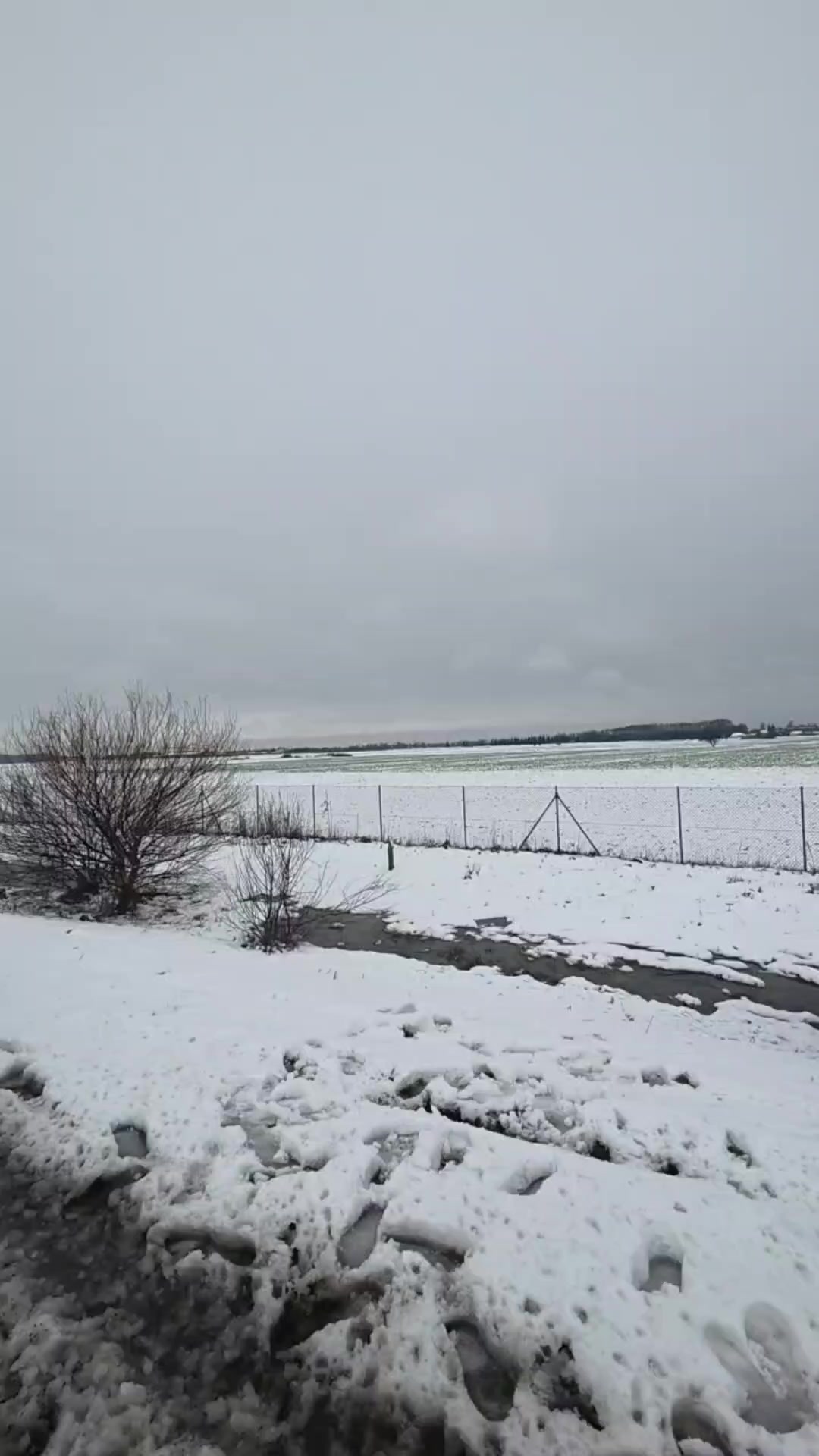 @ilkin._aliyev