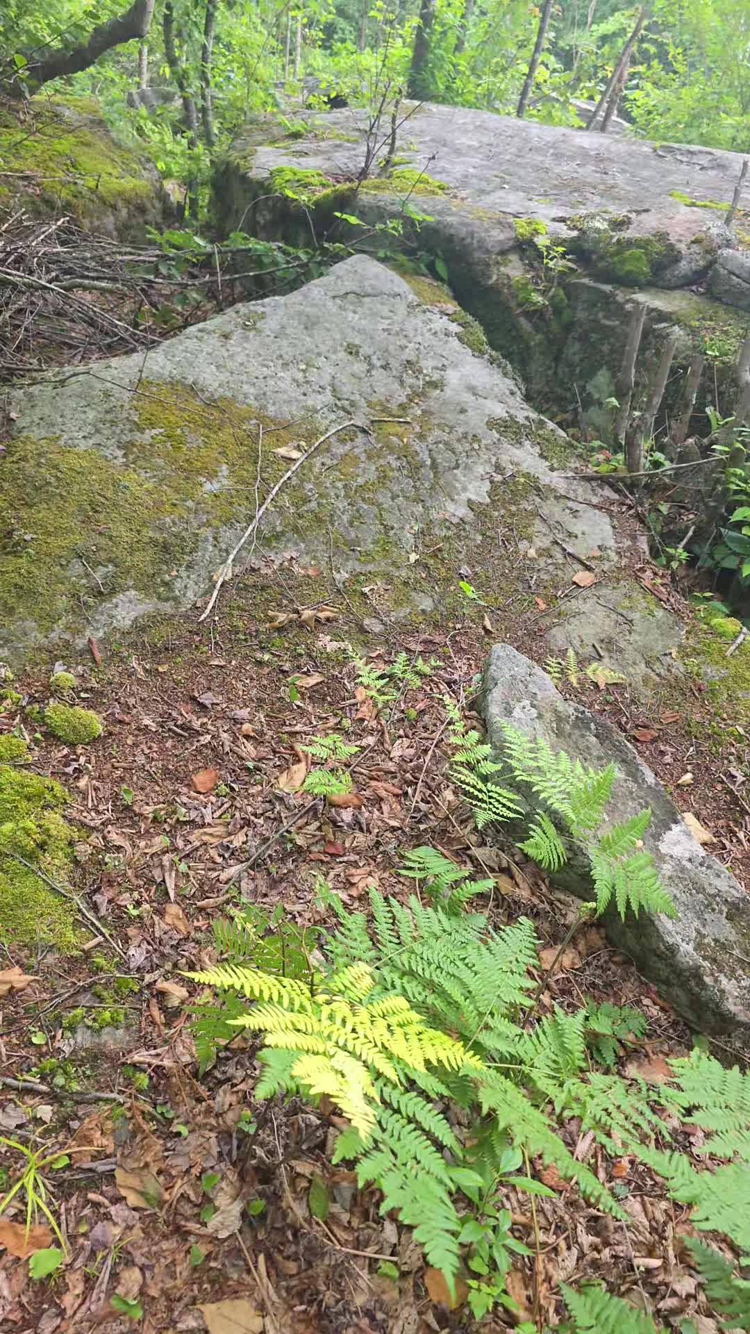 @Ciara • Adventure || Nature •