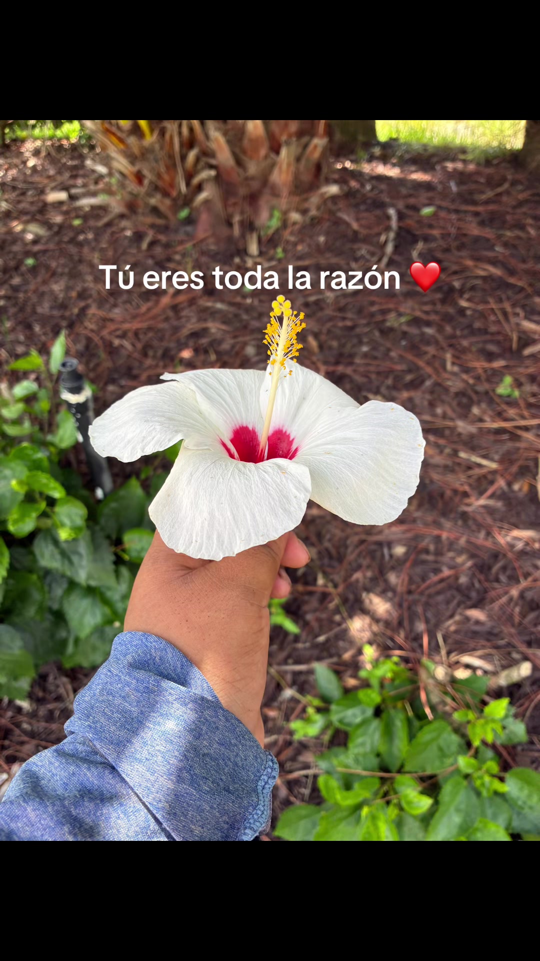 @Amelia ❤️
