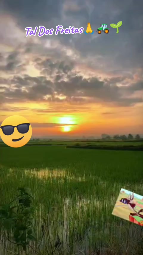 @Tal Dos Freitas😎