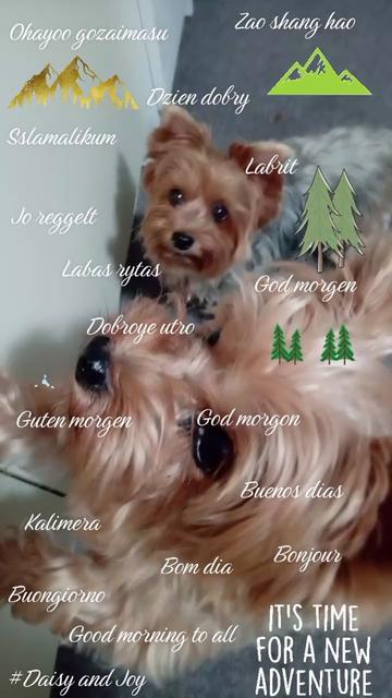 @#Daisy and Joy