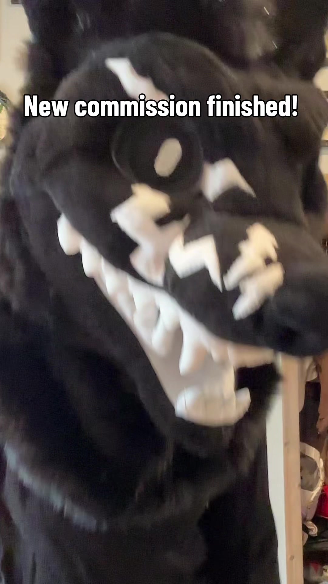 @✖️Barracuda✖️