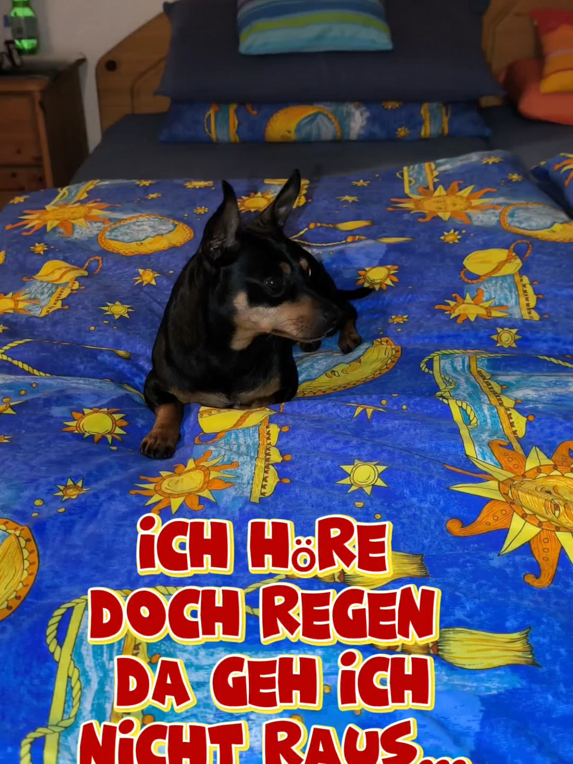 @ICH BIN'S