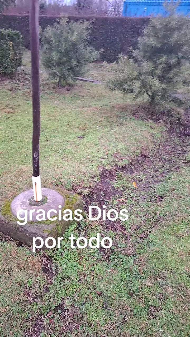 @Evelyn Avila