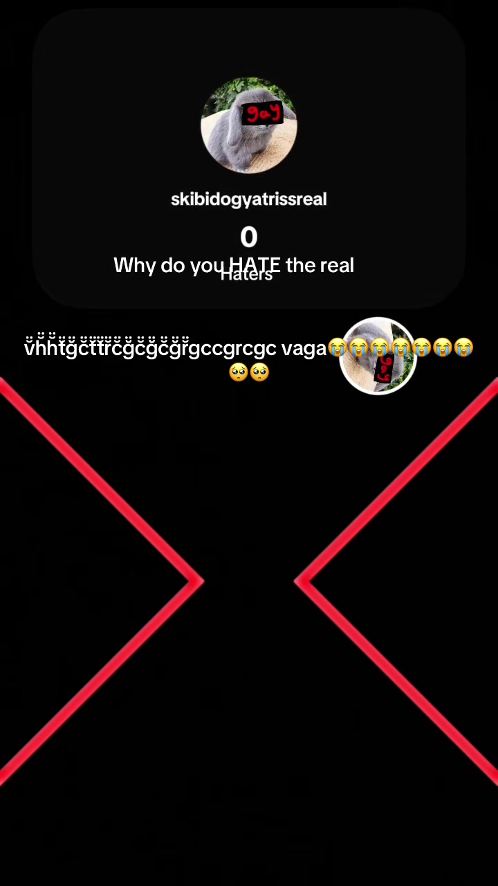 @skibidogyatrissreal