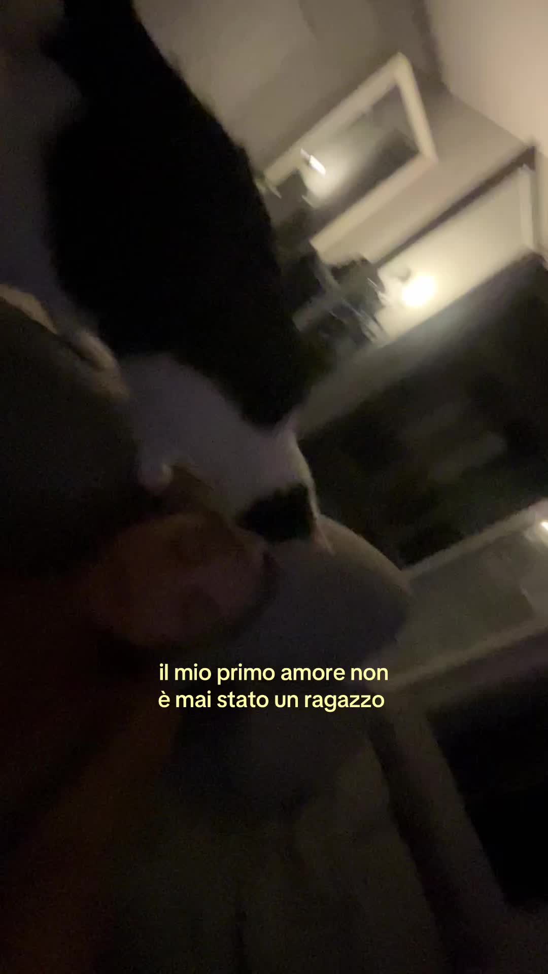 @Luce Porta🧁 ♡