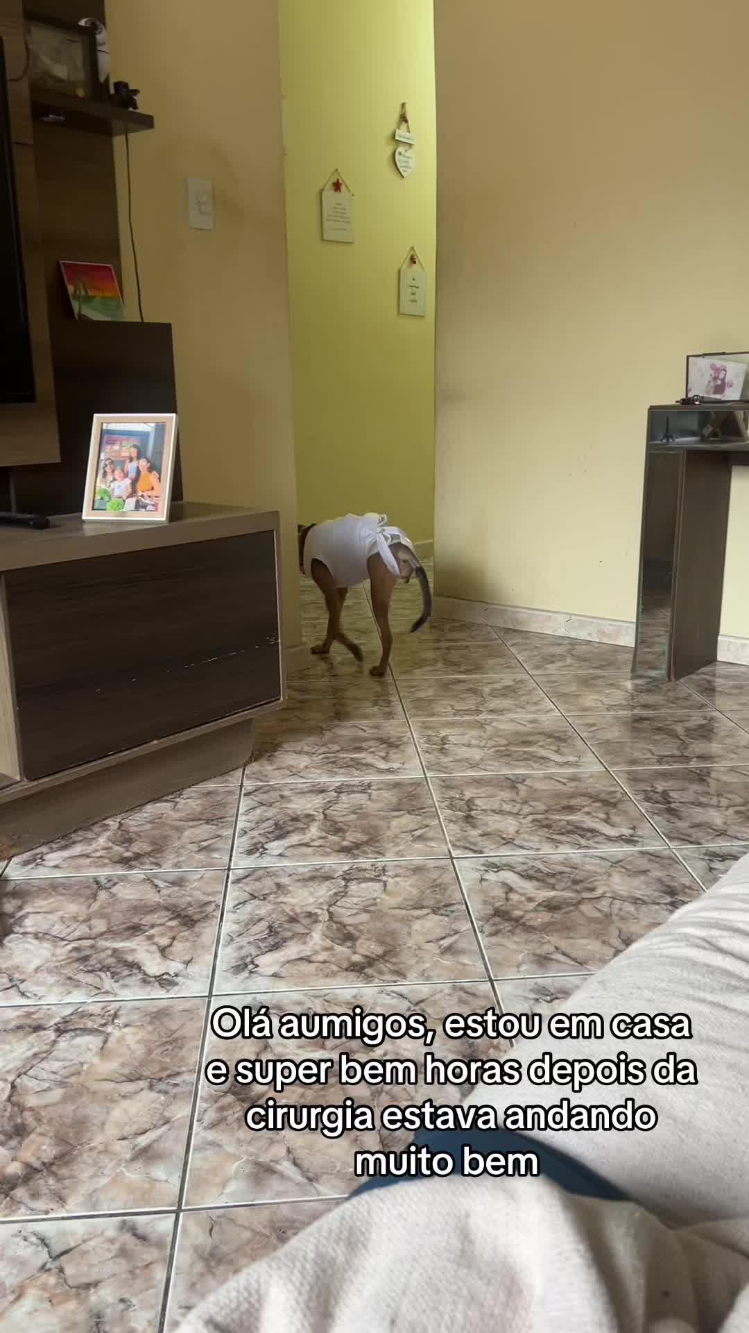 @Lua