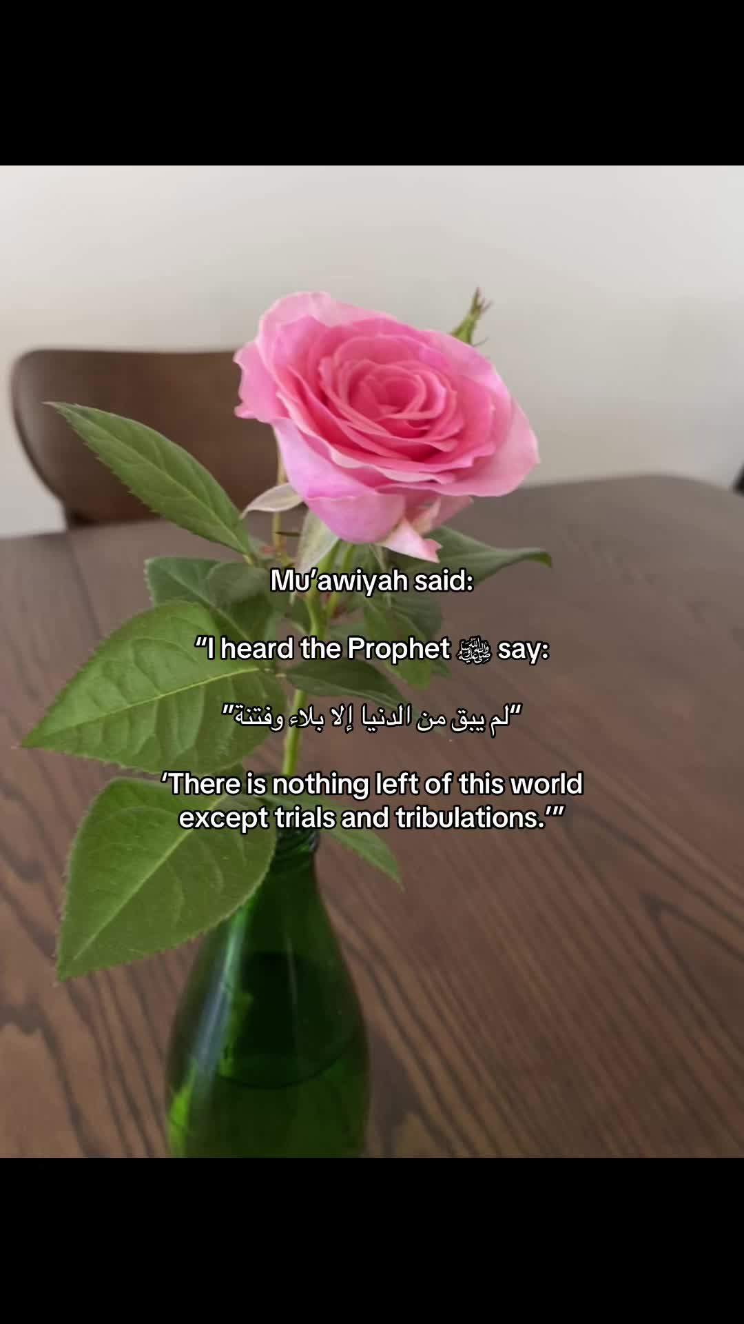 @فيها خير