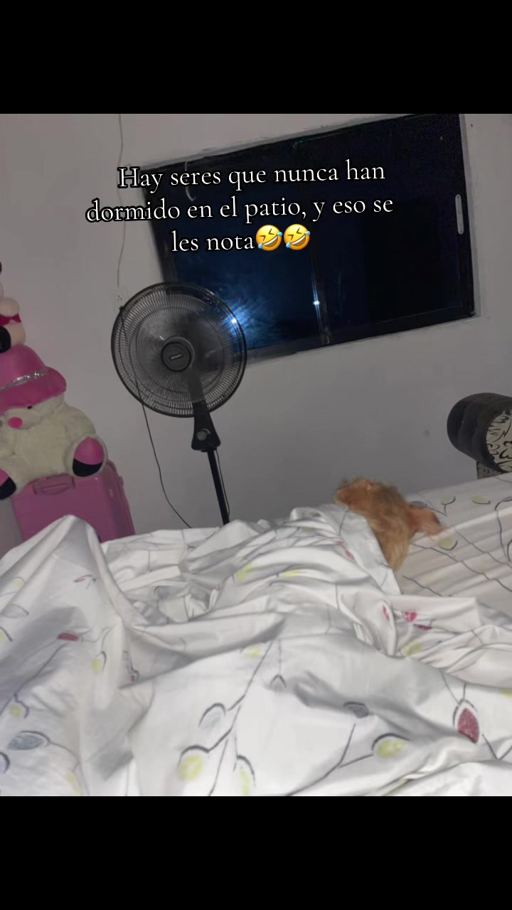 @Katha_Galeano