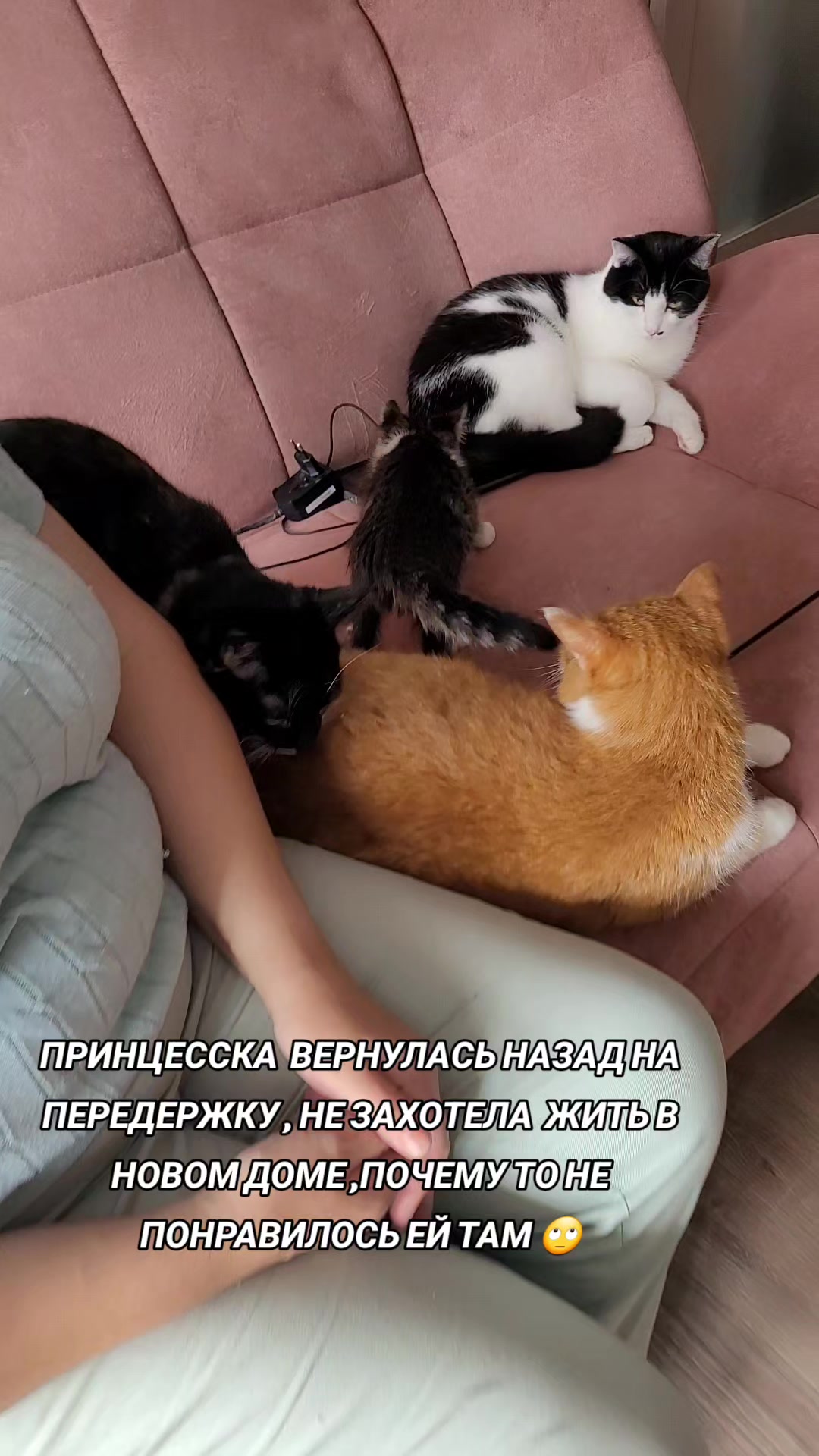 @marinka20_09