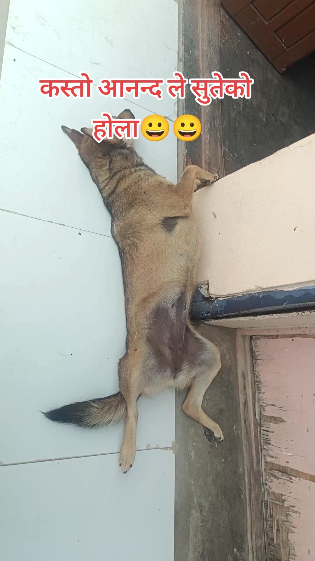 @bhimbibas_aashu_official1