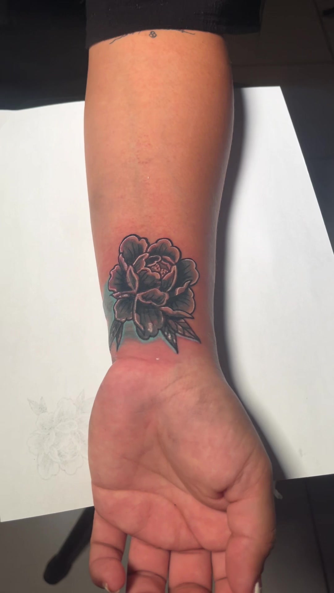 @Barba Roja Tattoo Shop